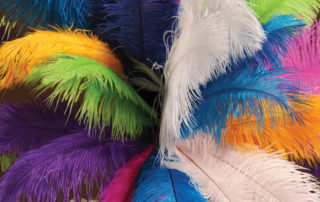 Ostrich feathers from Events Wholesale