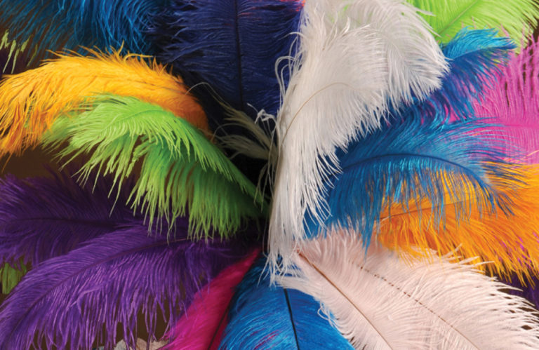 Ostrich feathers from Events Wholesale